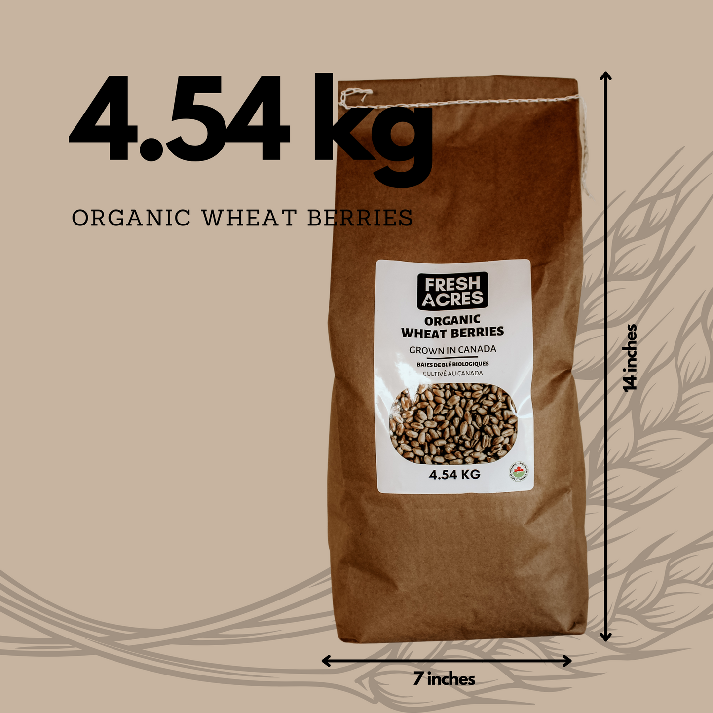Grown in Ontario Organic Wheat Berries