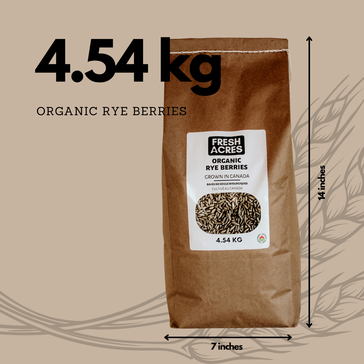 Grown in Ontario Organic Rye Berries