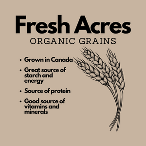 Grown in Ontario Organic Wheat Berries