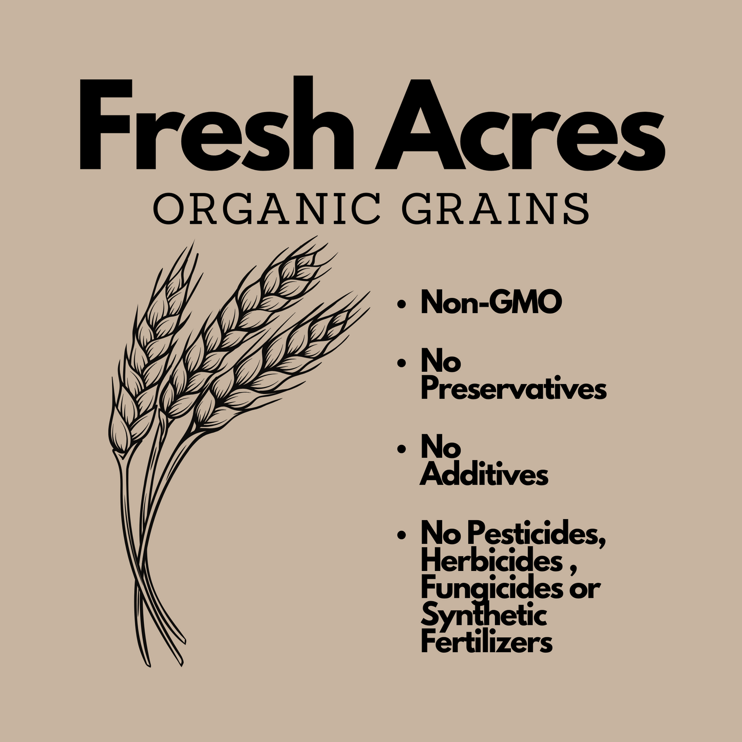 Fresh Acres Ontario Organic Einkorn Berries