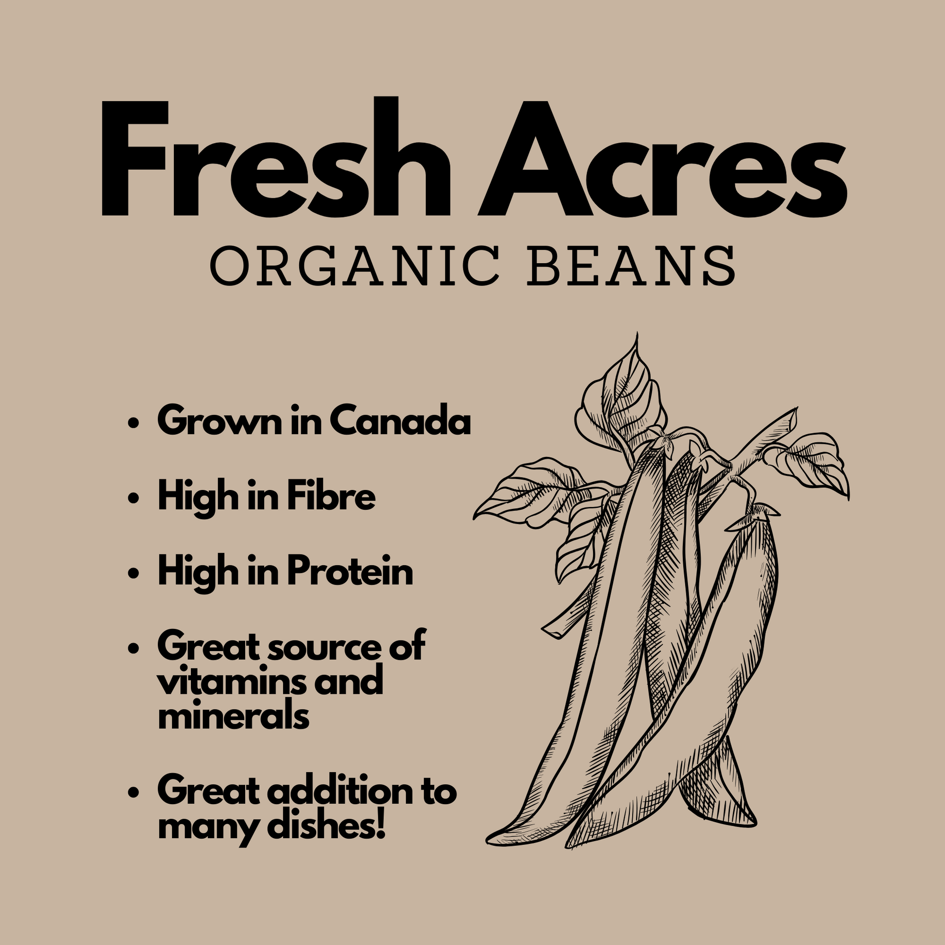 Grown in Ontario Organic Dark Red Kidney Beans