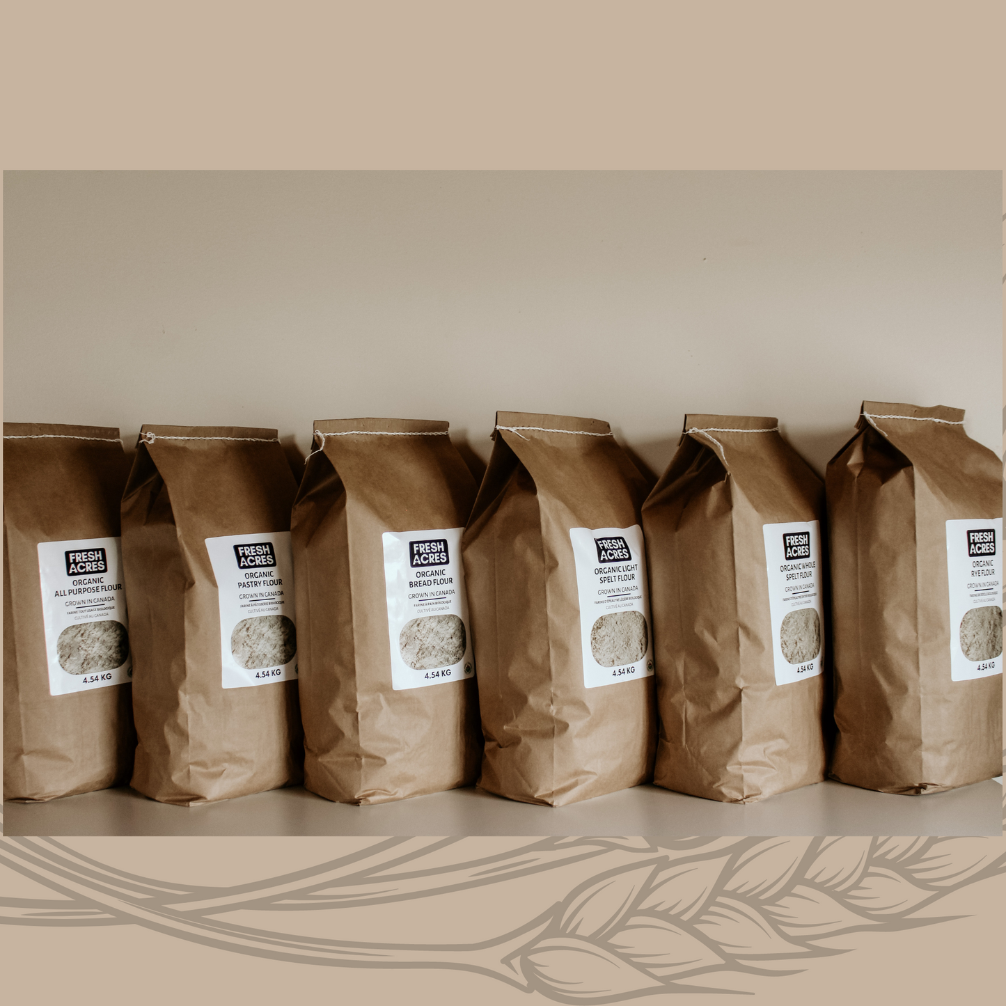 Organic All Purpose Flour Canadian Grown Fresh Acres