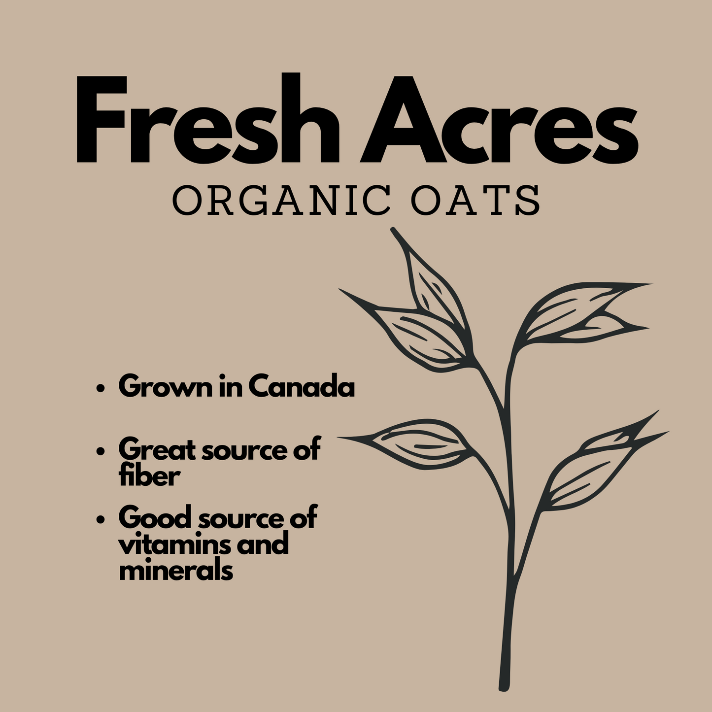 Organic Quick Oat Flakes Fresh Acres