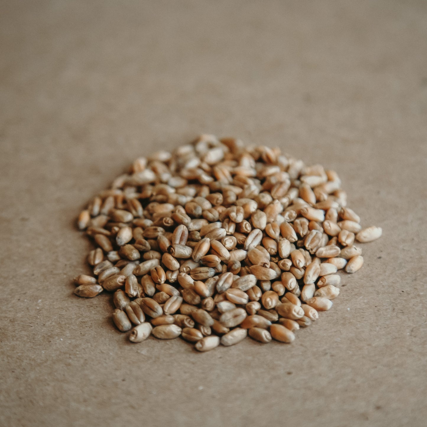 Grown in Ontario Organic Wheat Berries