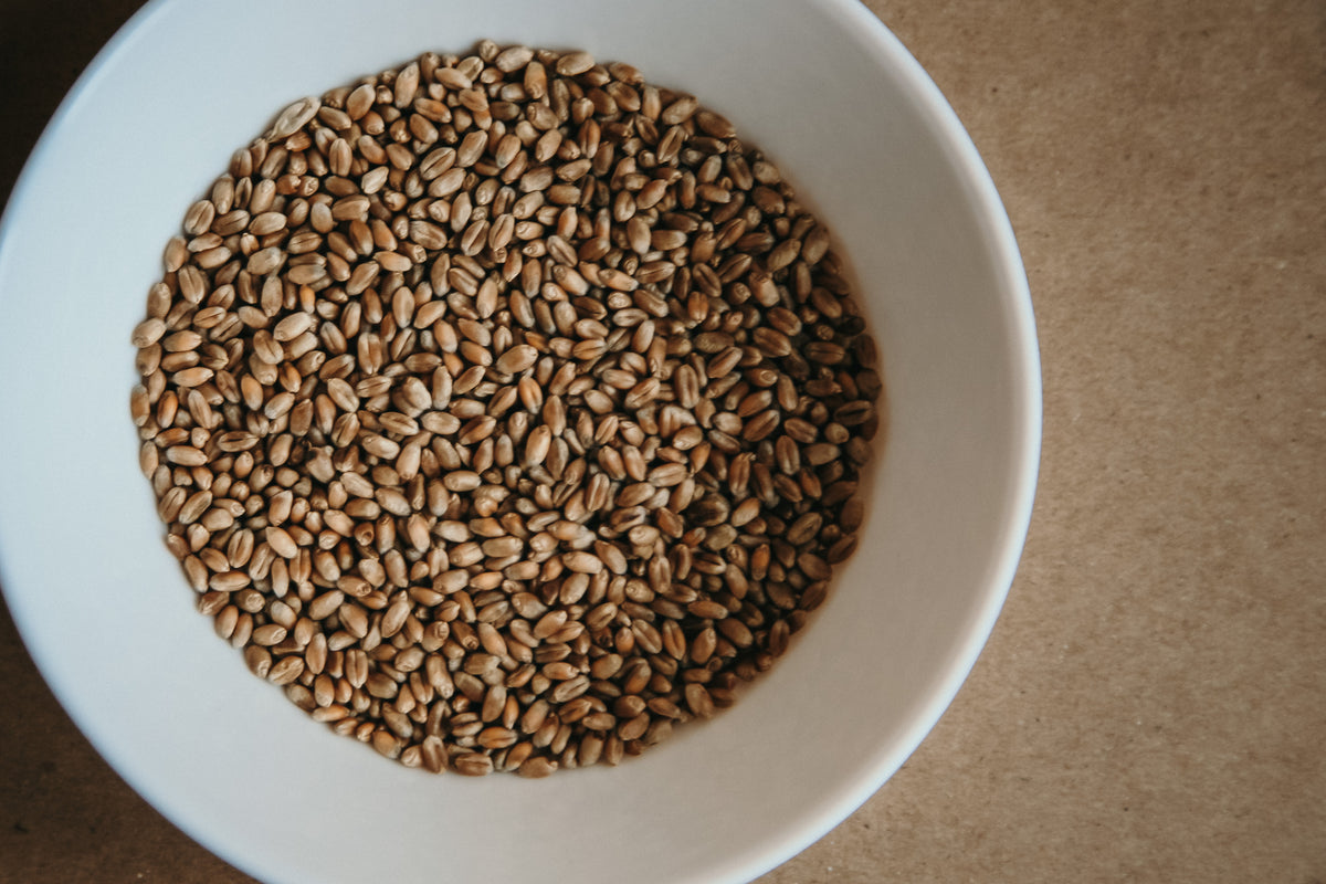 Organic Wheat Berries Fresh Acres