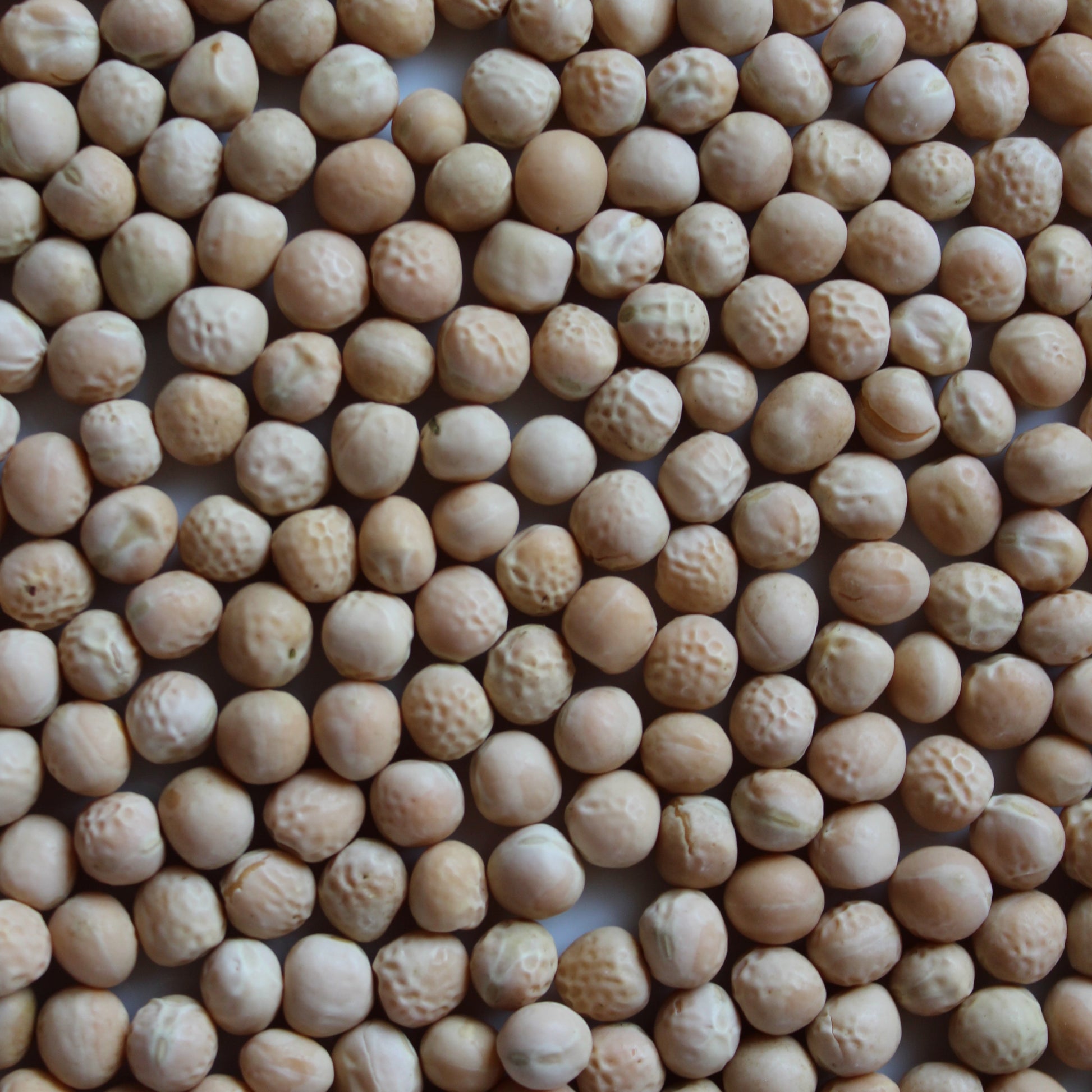 Fresh Acres Organic Yellow Peas