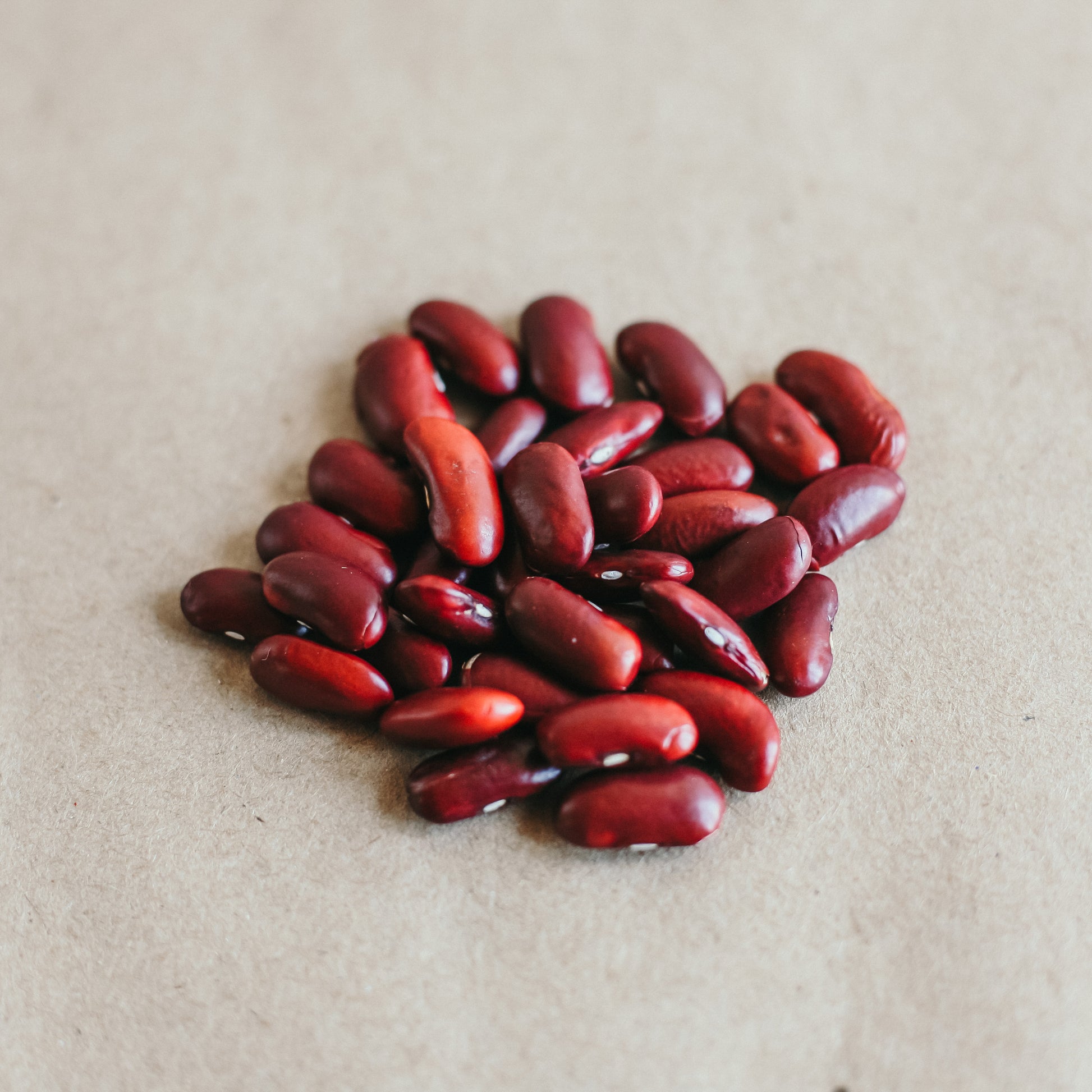 Grown in Ontario Organic Dark Red Kidney Beans