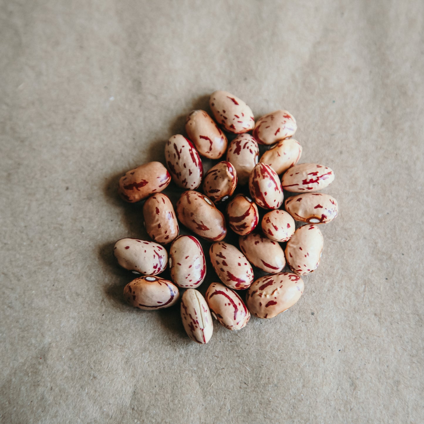 Grown in Ontario Organic Cranberry Beans