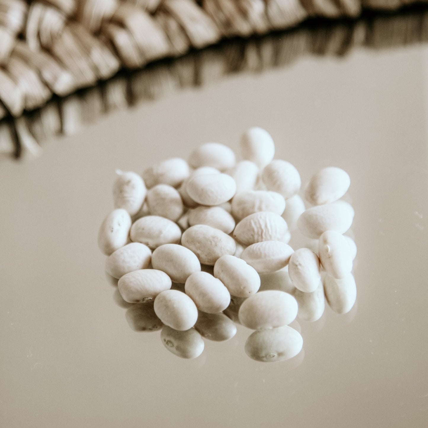 Grown in Ontario Organic Navy Beans