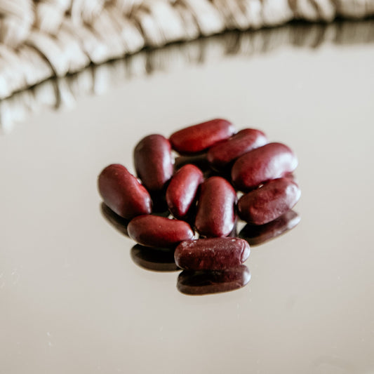 Grown in Ontario Organic Dark Red Kidney Beans