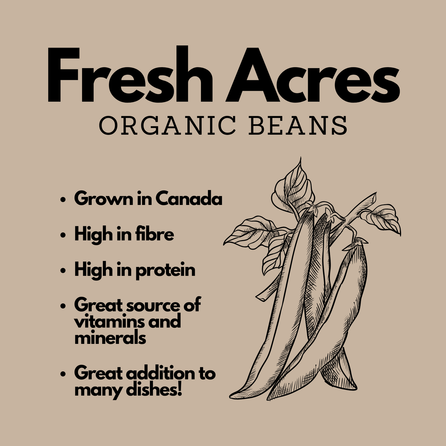 Organic Soy Beans Canadian Grown Fresh Acres