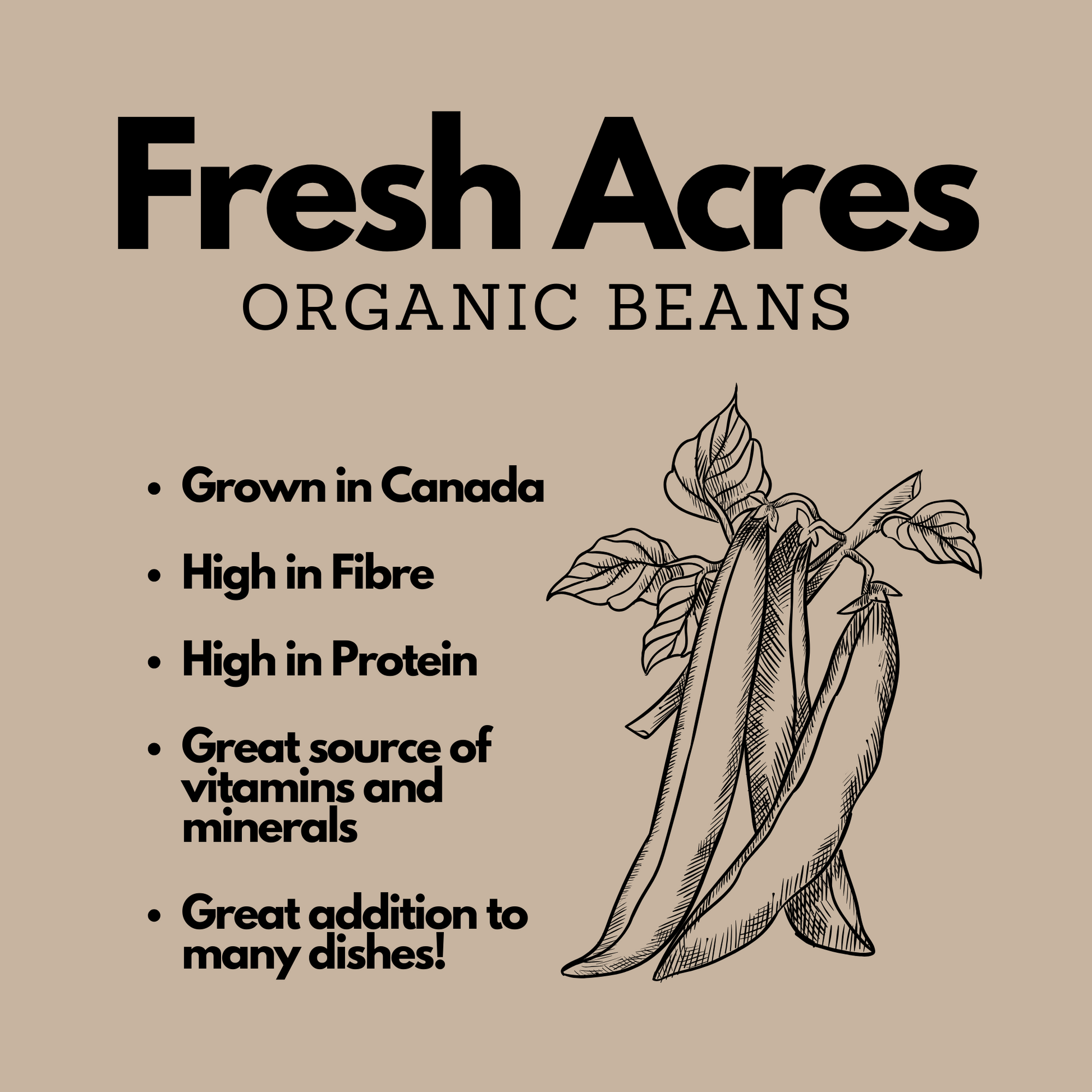 Grown in Ontario Organic Bean Mix