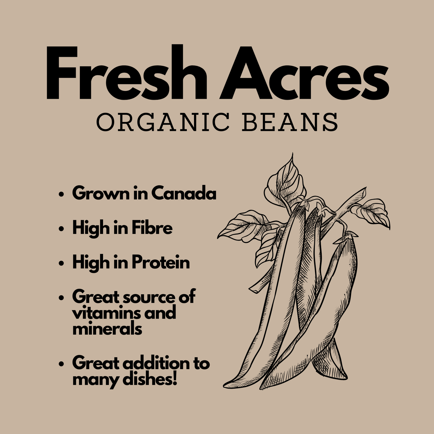 Grown in Ontario Organic Black Beans