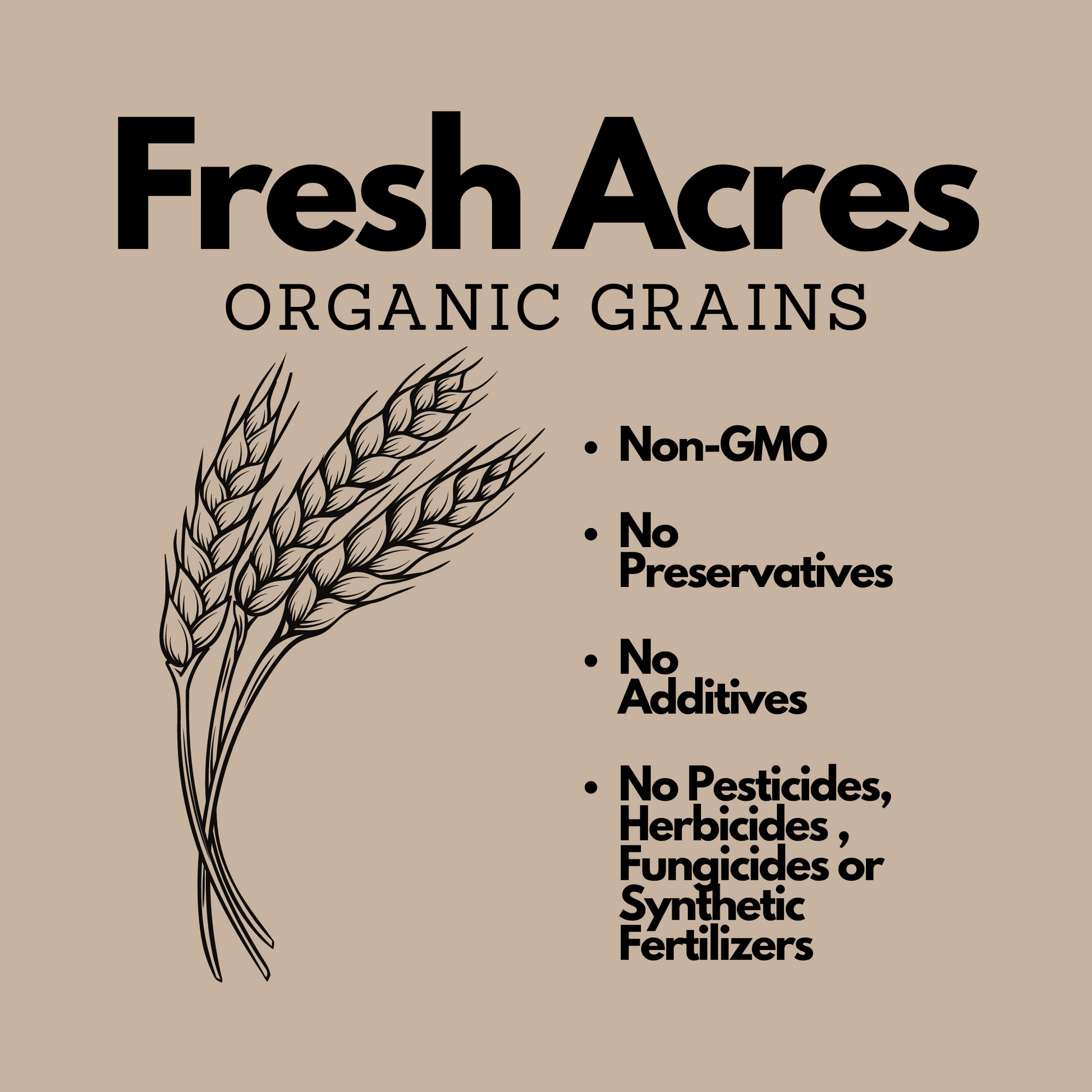 Organic Rye Flour Canadian Grown Fresh Acres