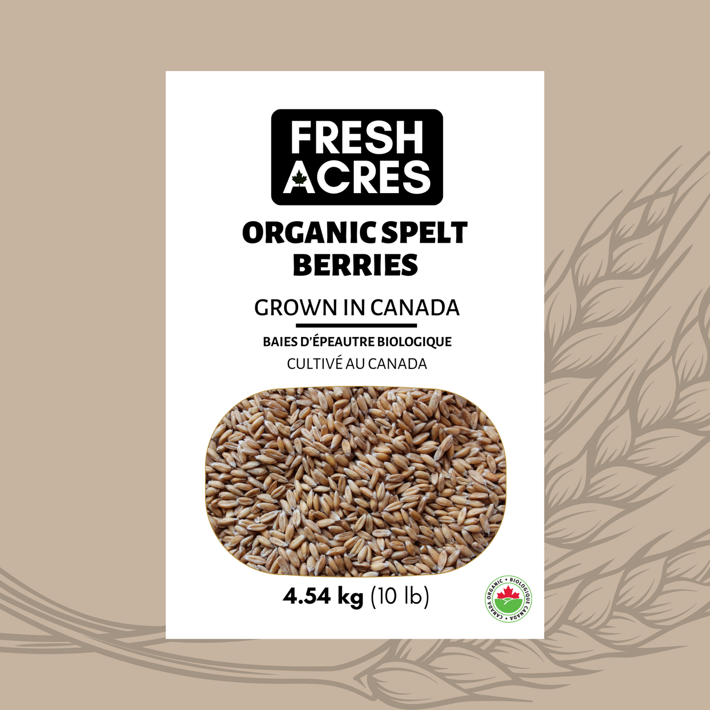 Organic Spelt Berries Fresh Acres