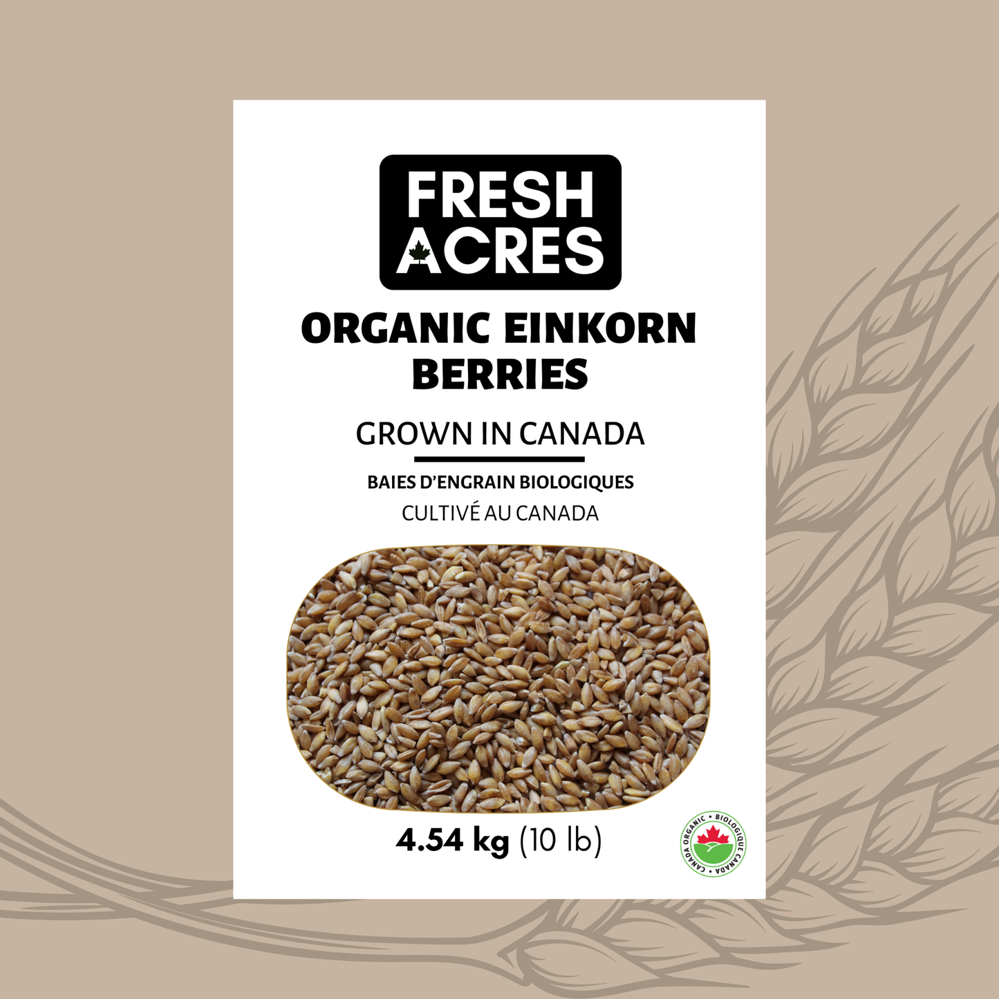 Fresh Acres Ontario Organic Einkorn Berries
