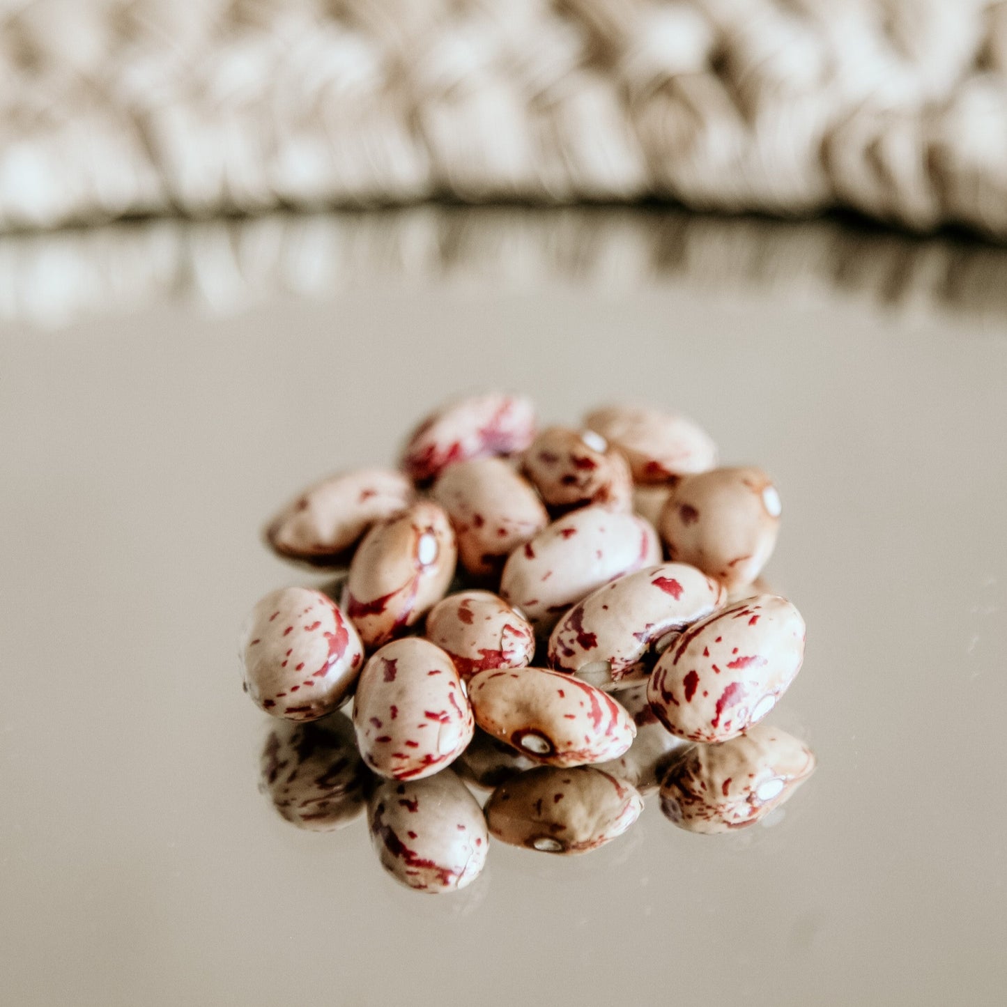 Grown in Ontario Organic Cranberry Beans