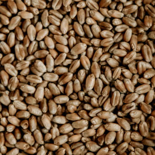 Grain Milling Starter Bundle