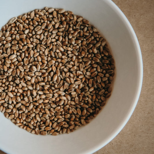 Grown in Ontario Organic Wheat Berries