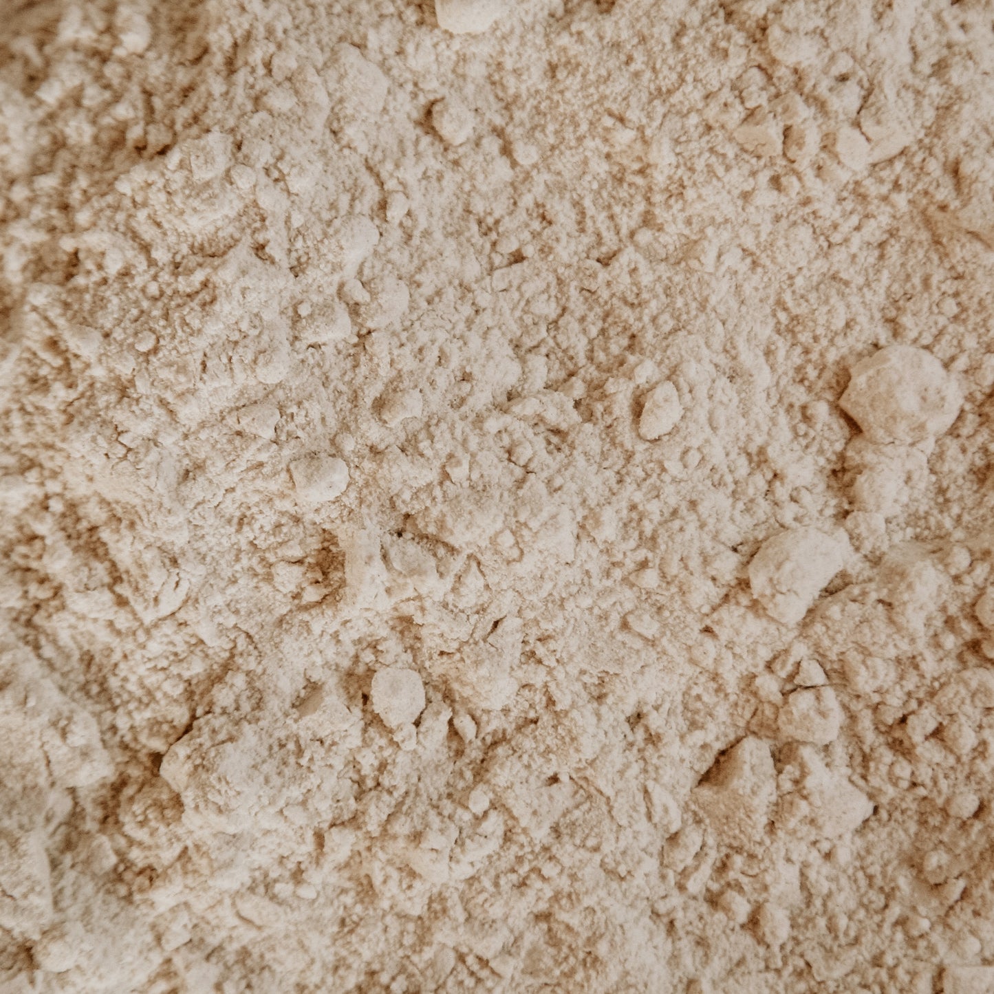 Everyday Baker's Bundle