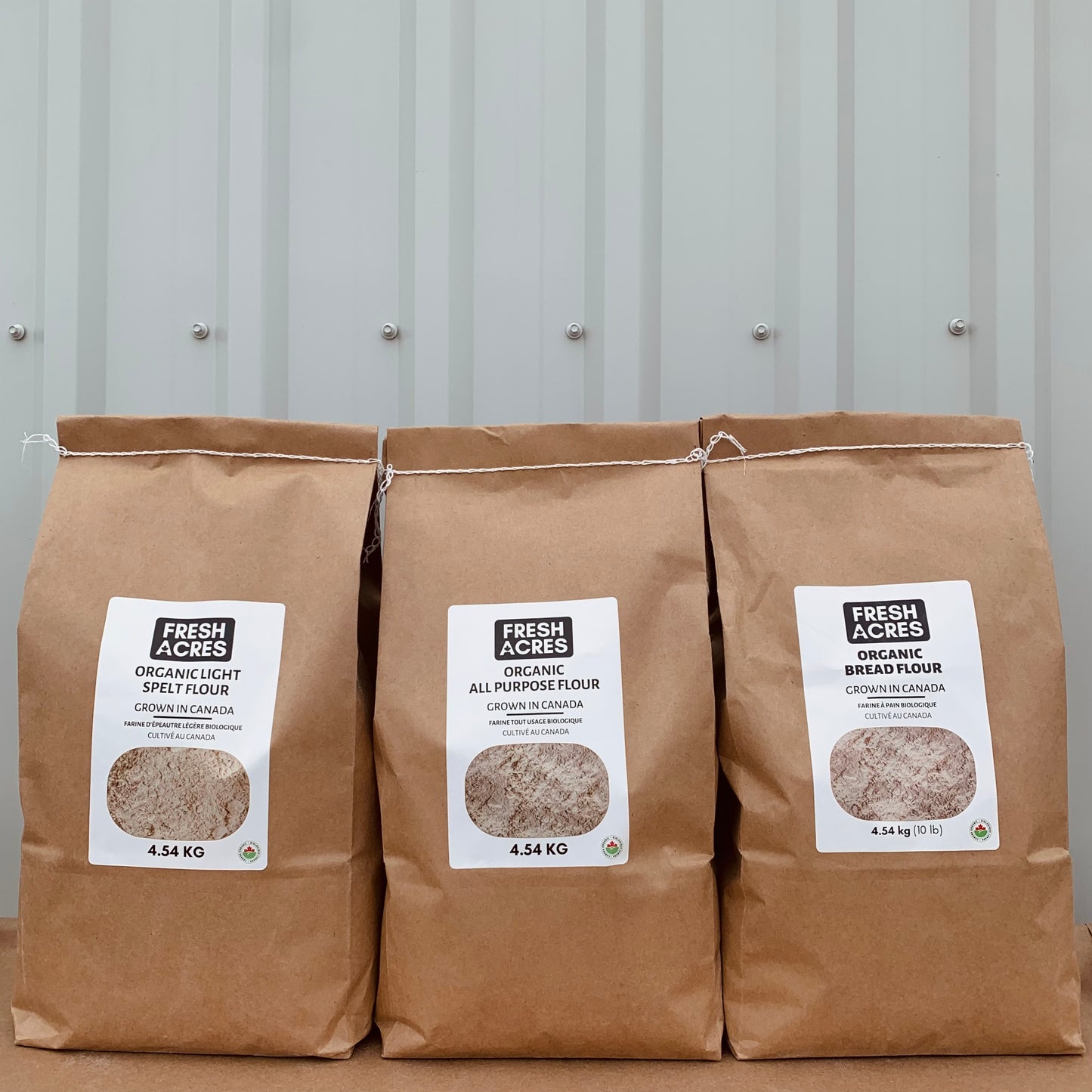 Everyday Baker's Bundle