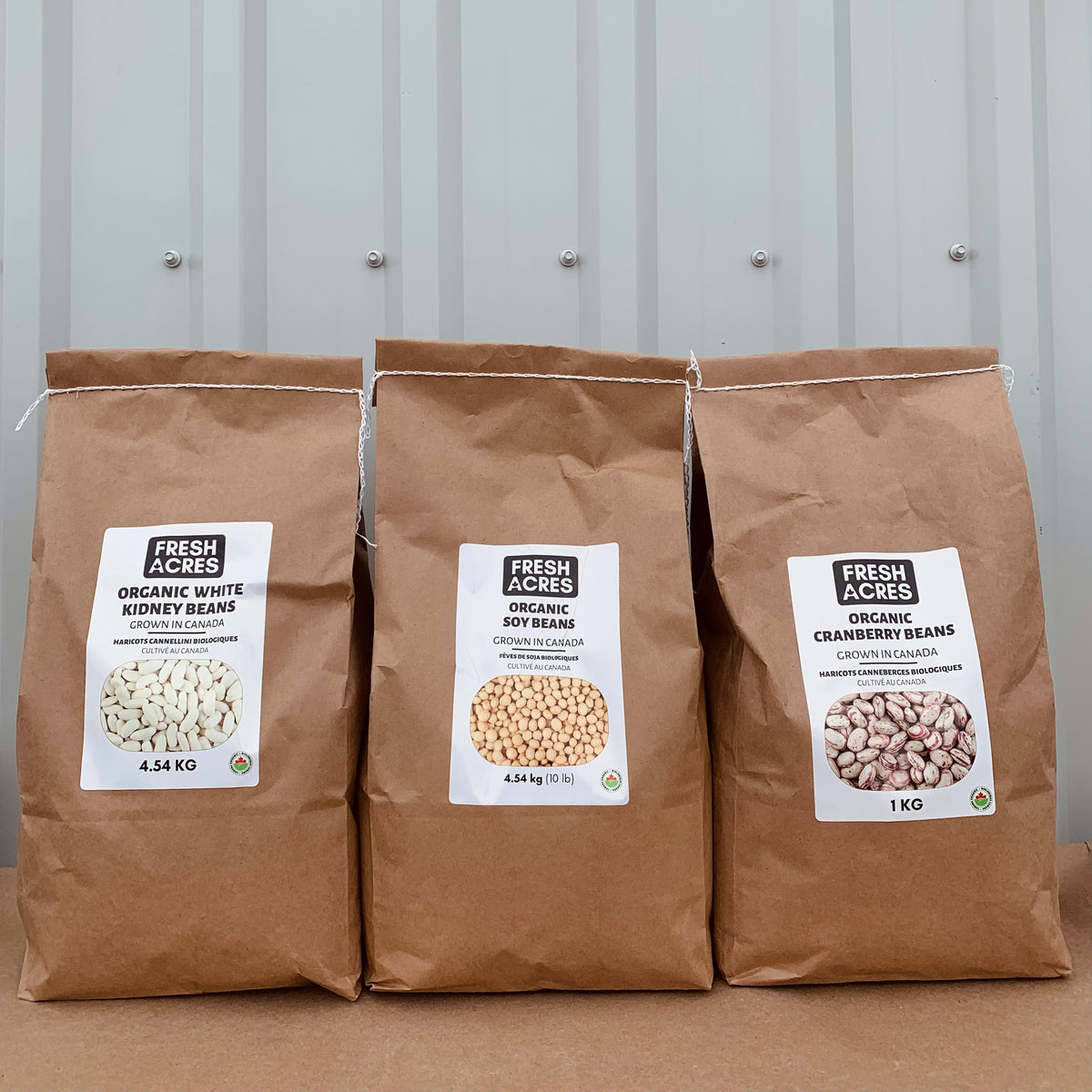 Protein Plus Bundle