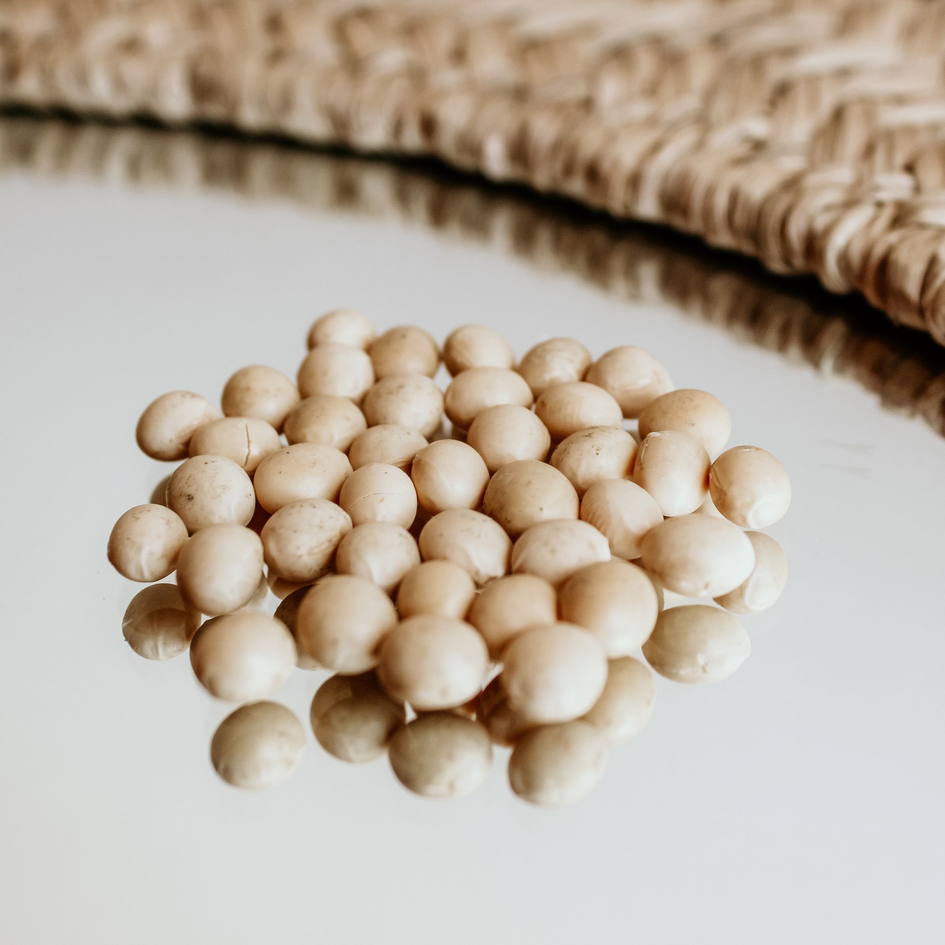 Organic Soy Beans Canadian Grown Fresh Acres