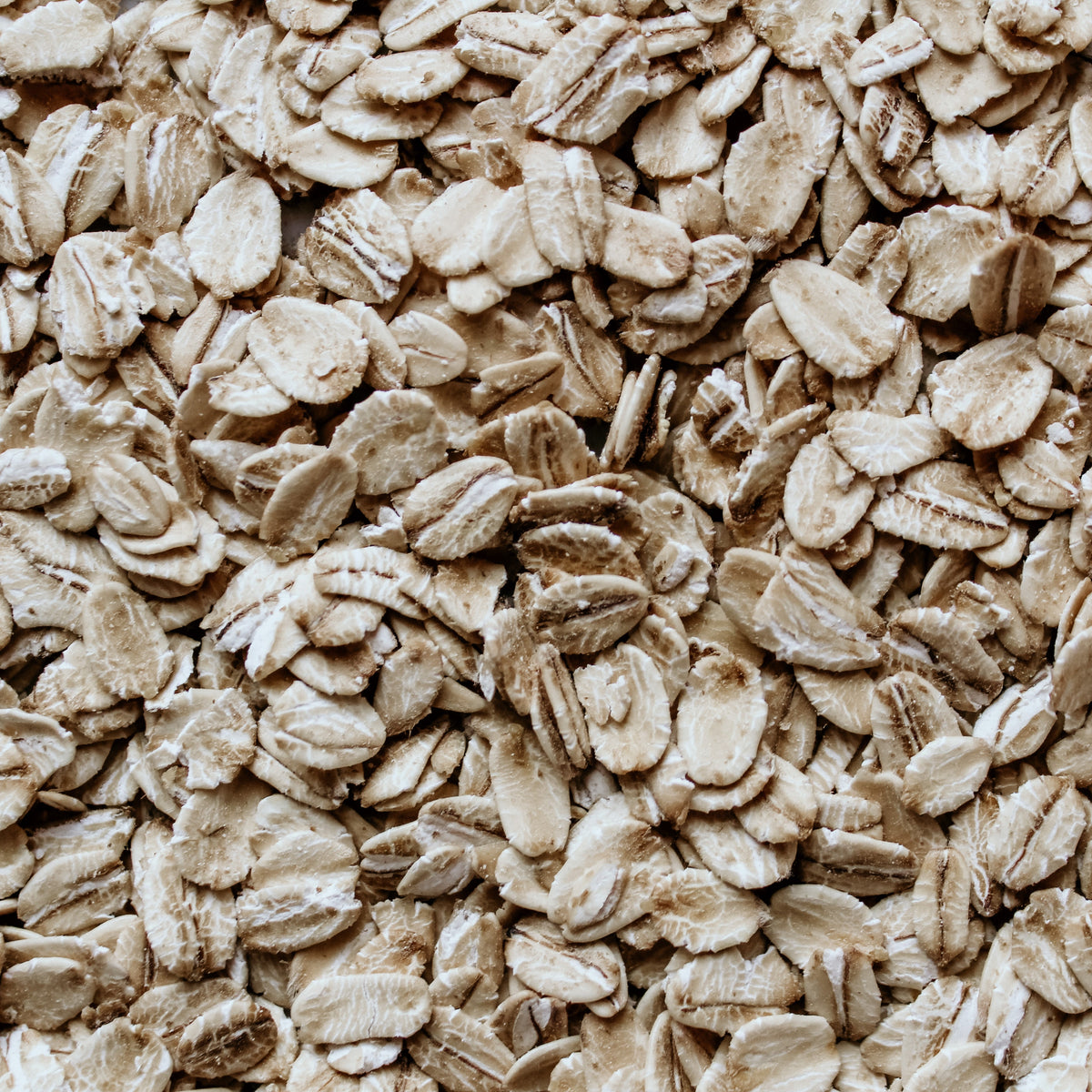Oat Rocks Organic Large Oat Flakes - 3.63kg (8lb) – Fresh Acres