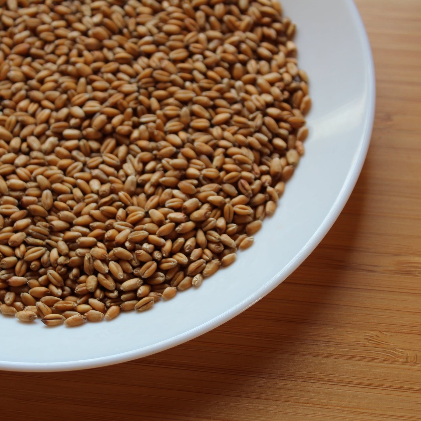 Fresh Acres Organic Soft Red Wheat Berries 