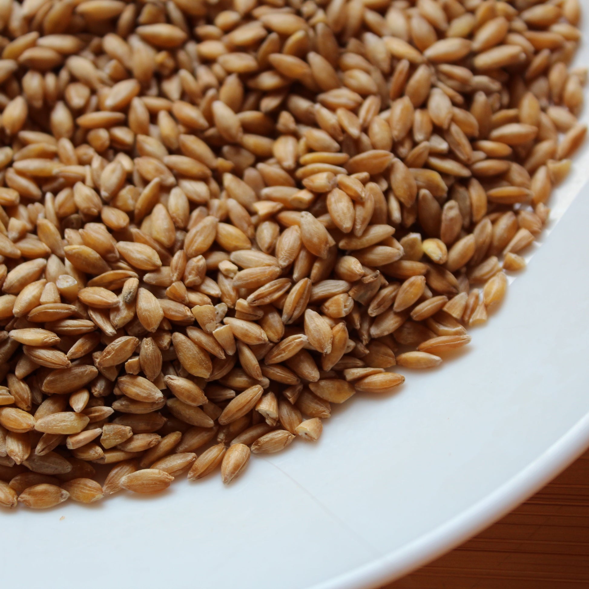 Fresh Acres Ontario Organic Einkorn Berries