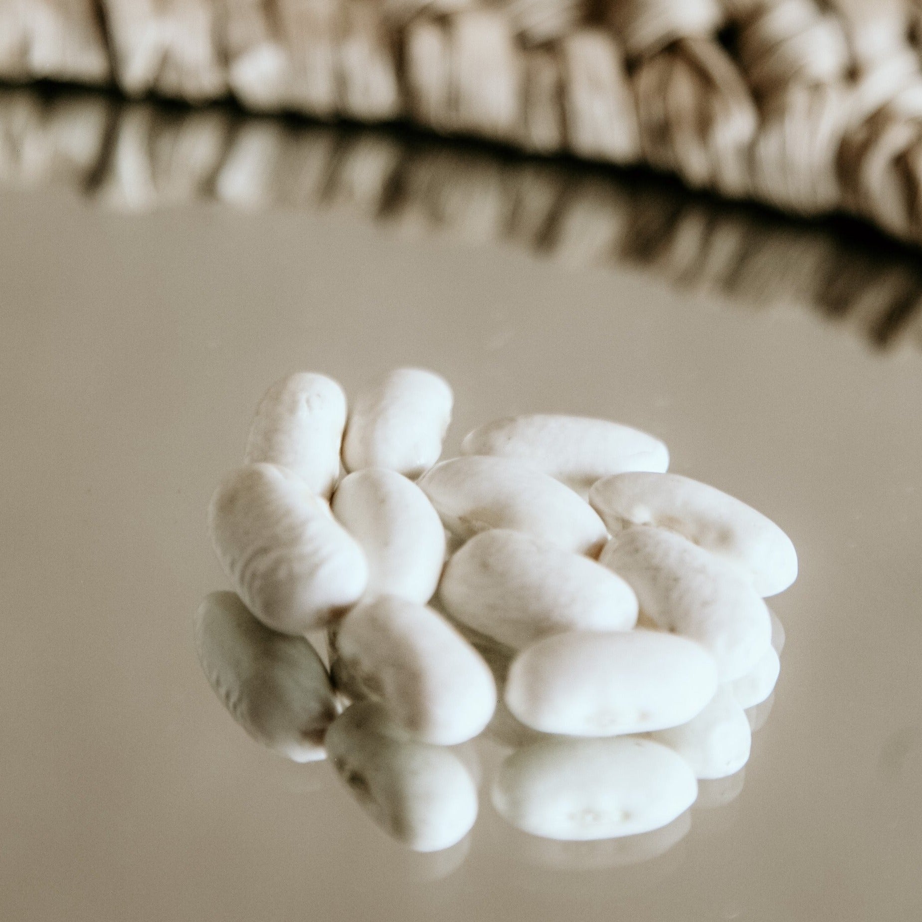 Grown in Ontario Organic White Kidney Beans